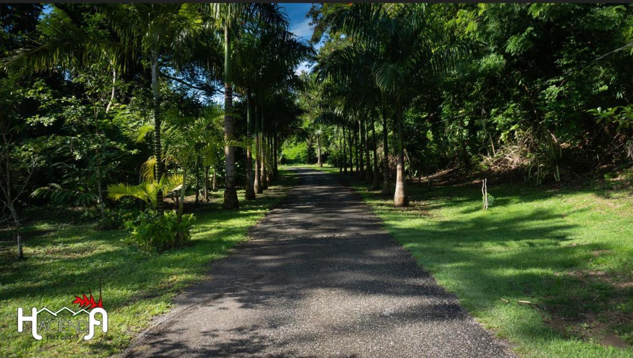 卡沃罗霍 Hacienda Tres Casitas旅馆 外观 照片