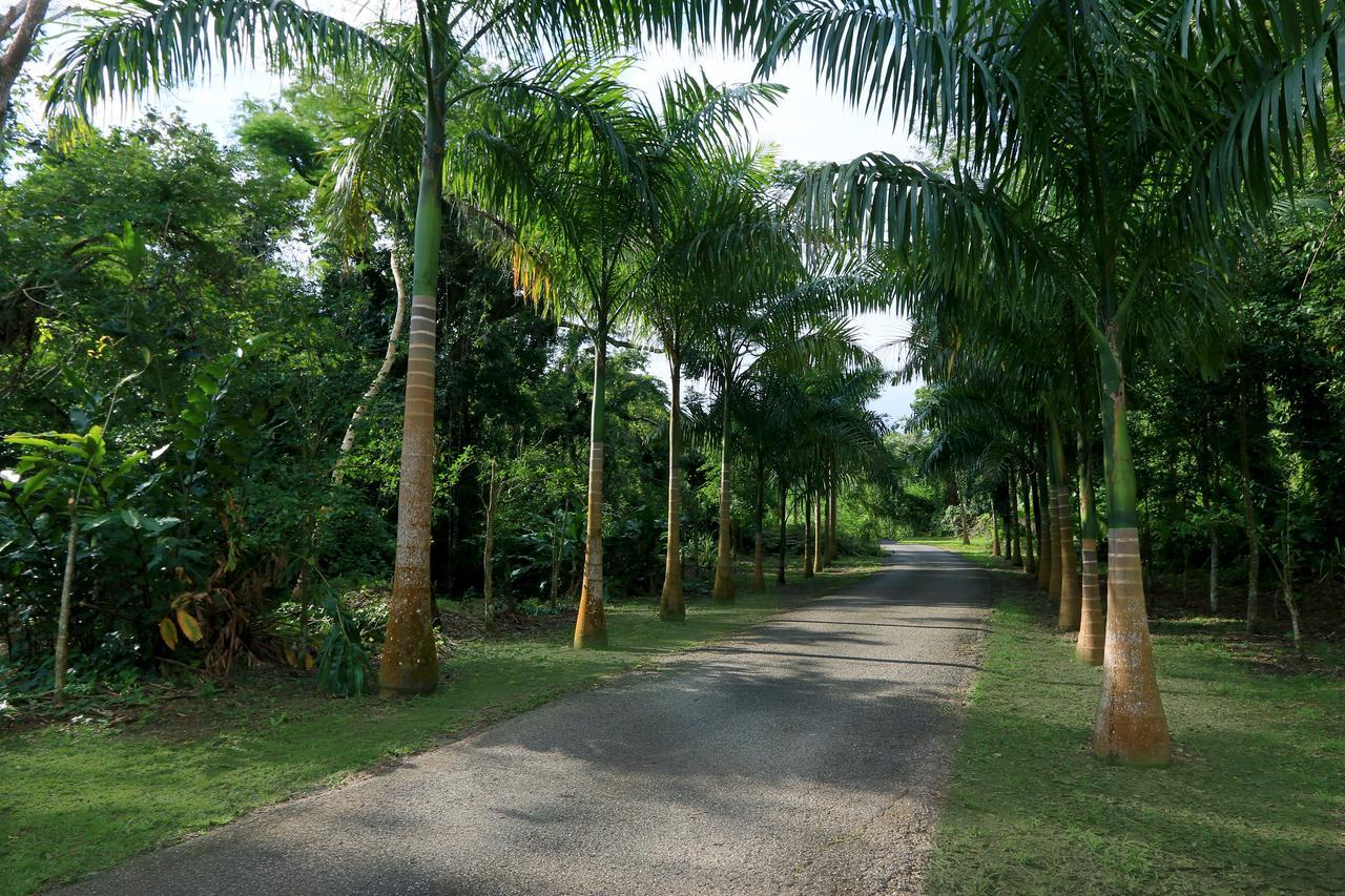 卡沃罗霍 Hacienda Tres Casitas旅馆 外观 照片